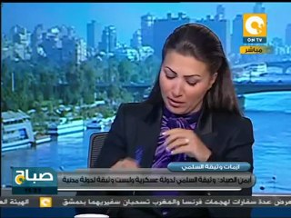 صباح ON: لماذا يرفضون تعديلات وثيقة السلمي