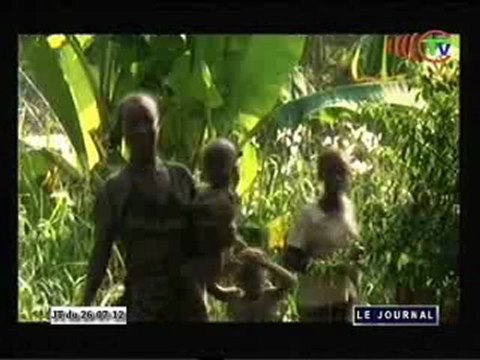 Renforcement des capacités sur la promotion et à la protection des peuples autochtones