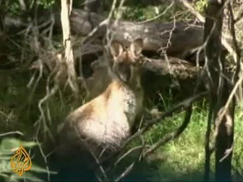 Australia seeks to impose carbon tax