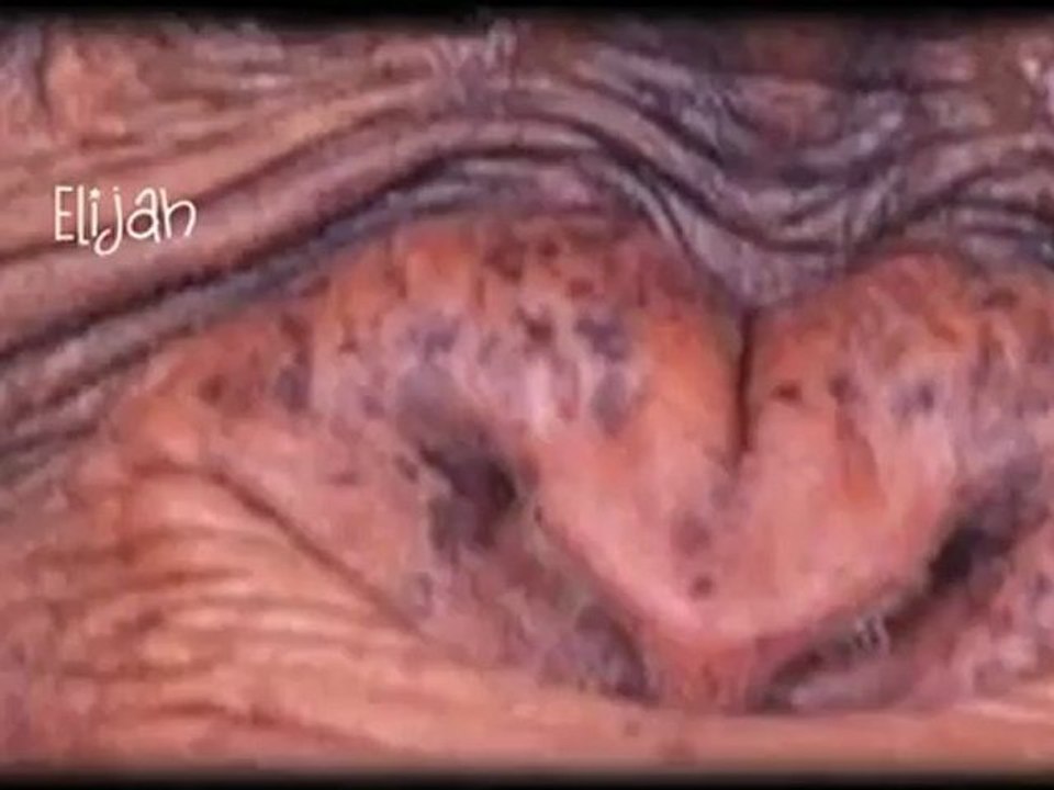 pt2 Gal 4n16 Exposed