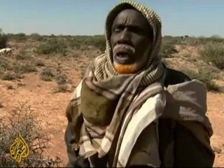Somalis burning through charcoal supply