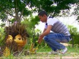 Cambodia's crackdown on land grab protests