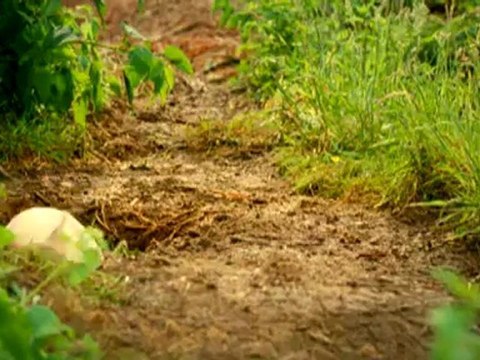 Trailer: La niñera mágica y el Big Bang