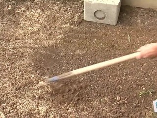 Comment bien semer son gazon ?