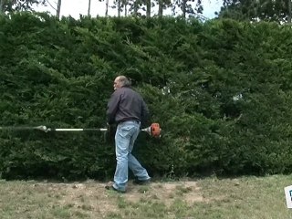 Comment bien tailler sa haie ?