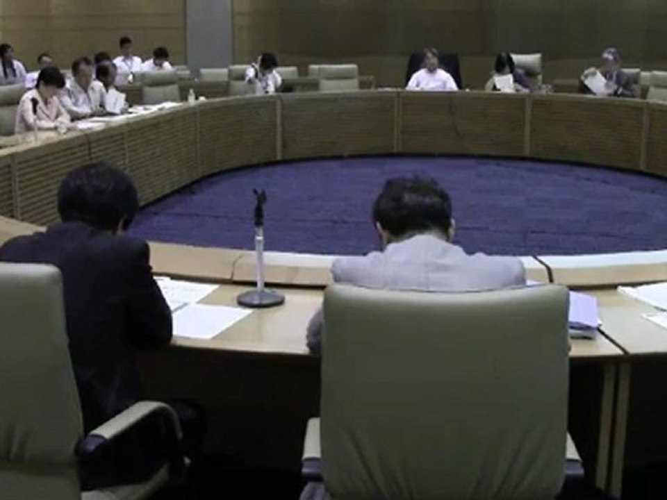 20120726 第10回 2/3 国会エネルギー調査会（準備会）東電値上げ＆国民議論