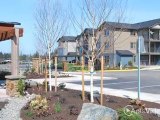 Four Lakes Apartments in Auburn, WA - ForRent.com