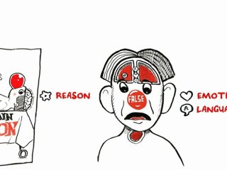 El cerebro dividido: Iain McGilchrist (v.o.)