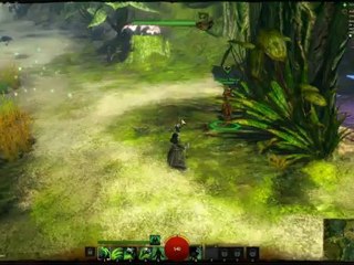 Gw2 Bêta juillet PC