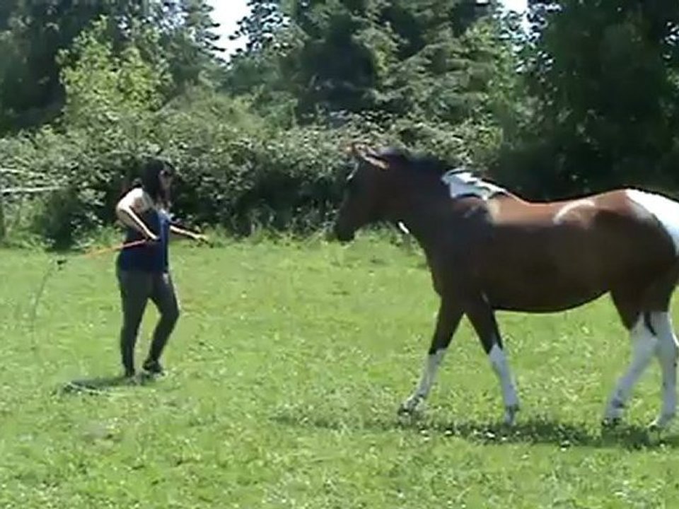 Tirelire - cercles en liberté