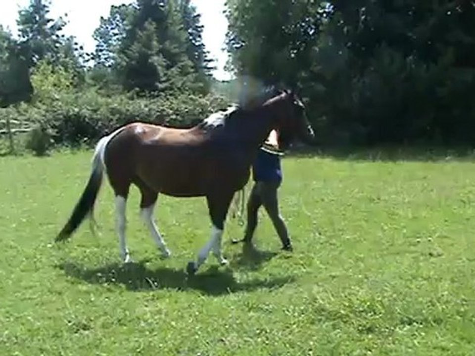 Tirelire - déplacements hanches  - épaules