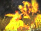 Combat Trailer di Guild Wars 2 (PC)