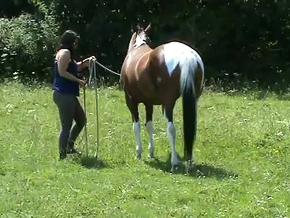 Tirelire - déplacements latéraux 1