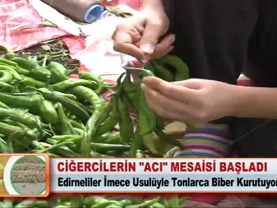 CİĞERCİLERİN “ACI” MESAİSİ BAŞLADI
