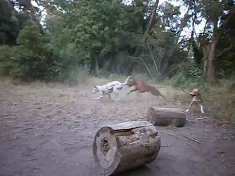 Redden, Gandhi, et Eros 26/07/2012 n° 1