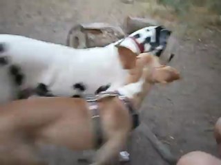 Redden, Gandhi, et Eros 26/07/2012 n° 2