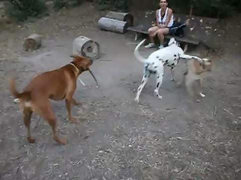 Redden, Gandhi, et Eros 26/07/2012 n° 3