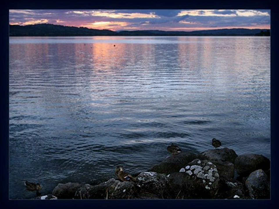 TRABZON EVDEN EVE NAKLİYAT 0462 323 04 04