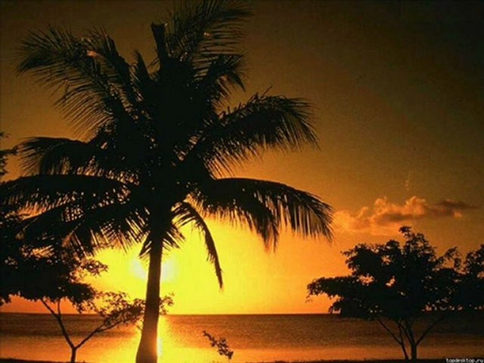 EVDEN EVE NAKLİYAT TRABZON 0462 323 04 04