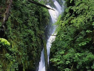 EVDEN EVE TRABZON 0462 323 04 04