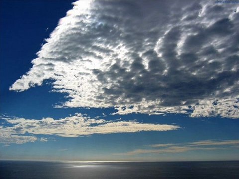 EVDEN EVE TAŞIMACILIK 0462 323 04 04