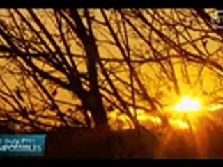 Les Enquêtes Impossibles (Double jeu - Mort glaciale)