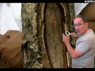 Miracle ou mauvaise vue ?