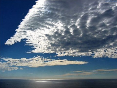 EVDEN EVE FİRMALARI 0462 323 04 04