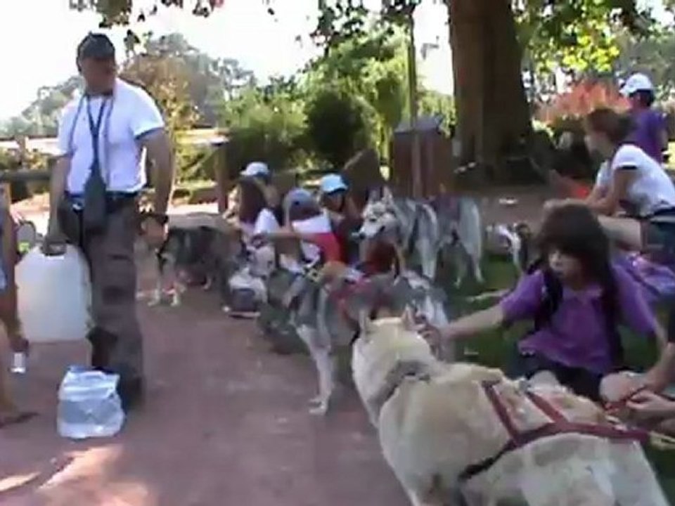 Cani Rando "L'Odyssée Canine" Jour 4 - Ressins Villages