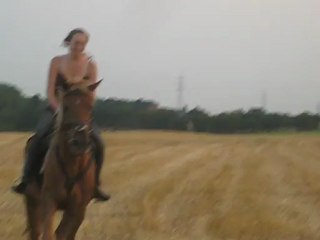 Kaïzer galop champ de paille