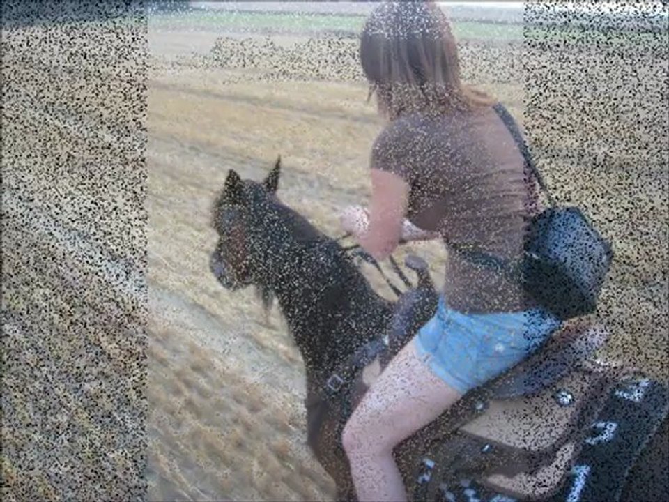 Balade 26.07.2012