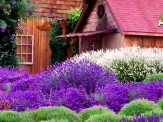 BEDIÜZZAMAN DÖNEMINDE HZ MEHDI'NIN ÜC VAZIFEYI YAPMASI ...