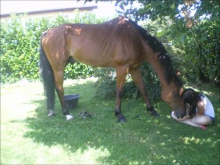 La confiance regne 2