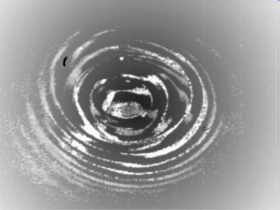 S.uicide a.fter v.iolence - turbulent heat