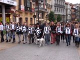 AVILÉS Manifestación por un albergue de animales para Avilés y su comarca