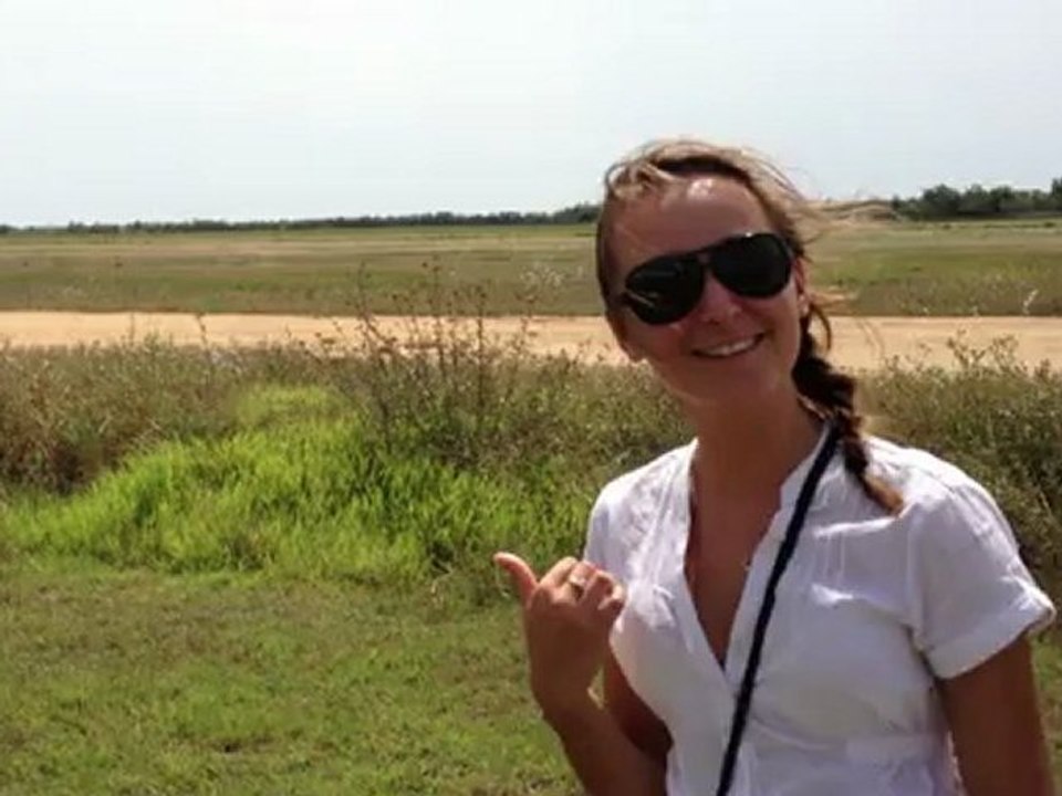 Morane-Saulnier Rallye en traction de banderole