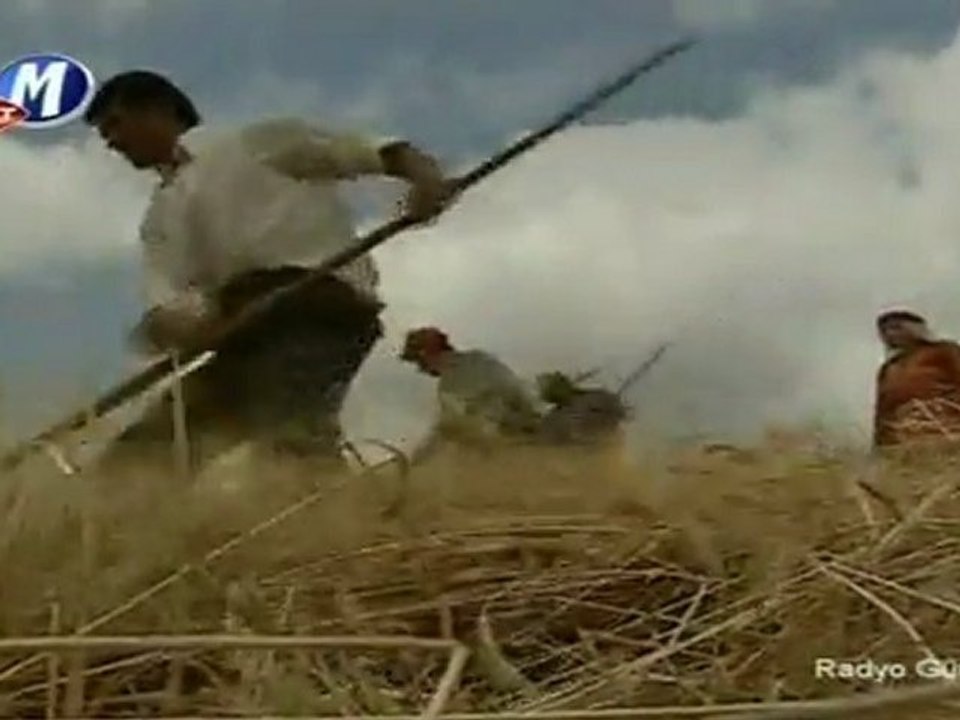 Hele Dadaş Hoşmusan (Nursaç Doğanışık & Oktay Ertuğrul)