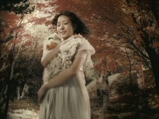 BoA-Everlasting