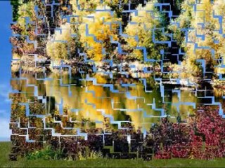 Together We Can Make A Change