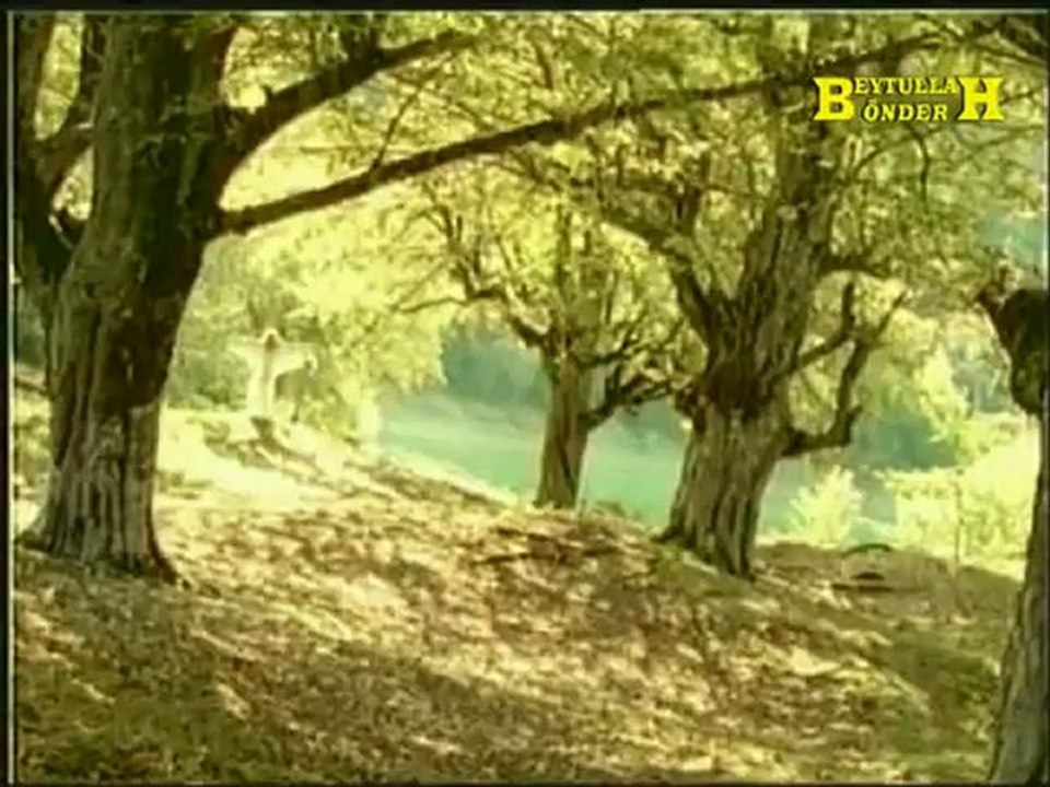 Cengiz İmren - Bilseydim