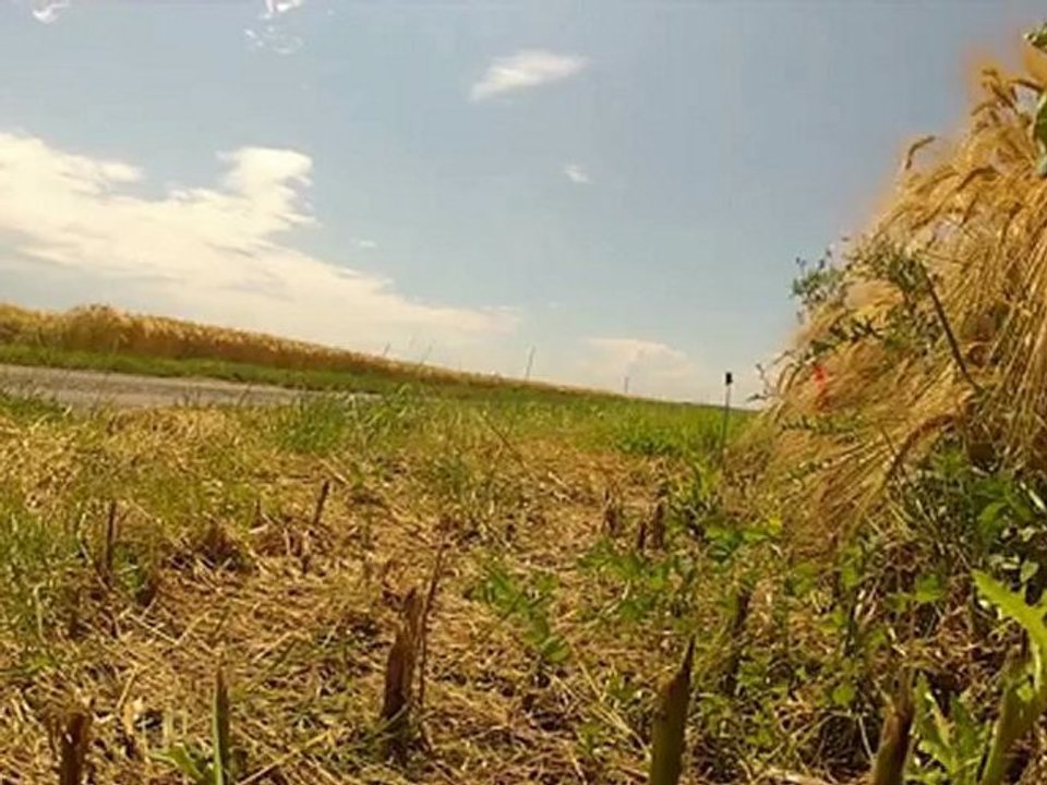 maserati 4200 exhaust ncmotorparts