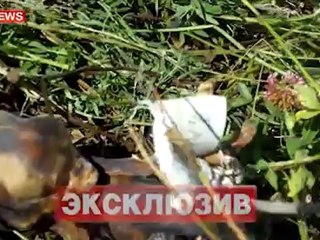 Число найденных тел мертвых детей достигло 248