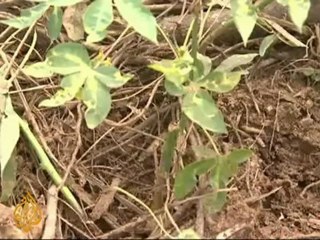 DRC grapples with landmine legacy