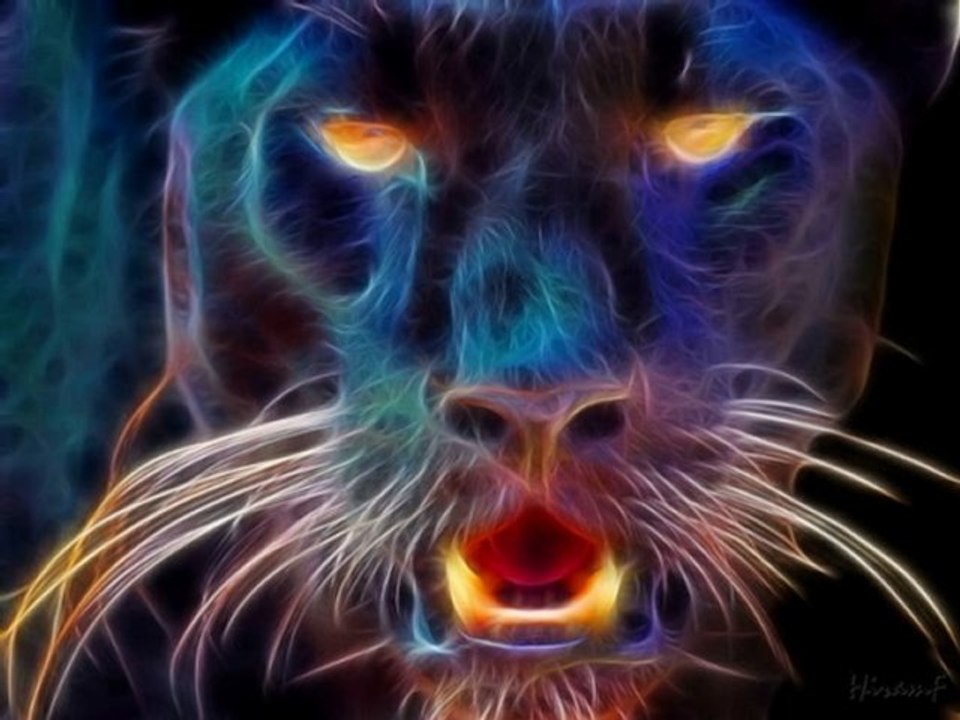 RE:Harvey's video about racist rants!