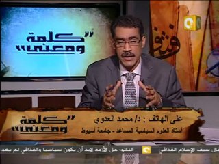 下载视频: كلمة ومعنى - د. ضياء رشوان: الحكومة