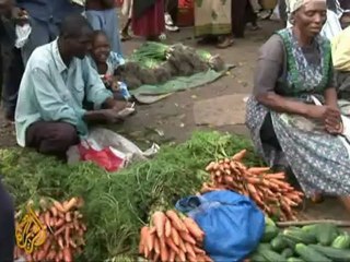 Zimbabwe to impose equity deadline on foreign firms‎