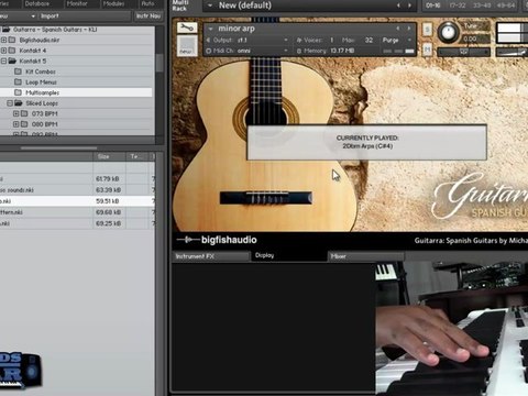 Big Fish Audio - Guitarra Spanish Guitar Loop library