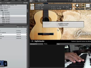 Big Fish Audio - Guitarra Spanish Guitar Loop library