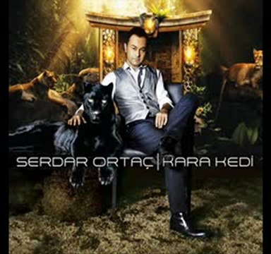 Kara kedi- serdar ortaç