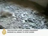Syrian MP speaks to Al Jazeera